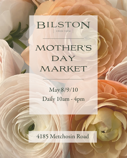 Mother's Day Market Entry - 2026