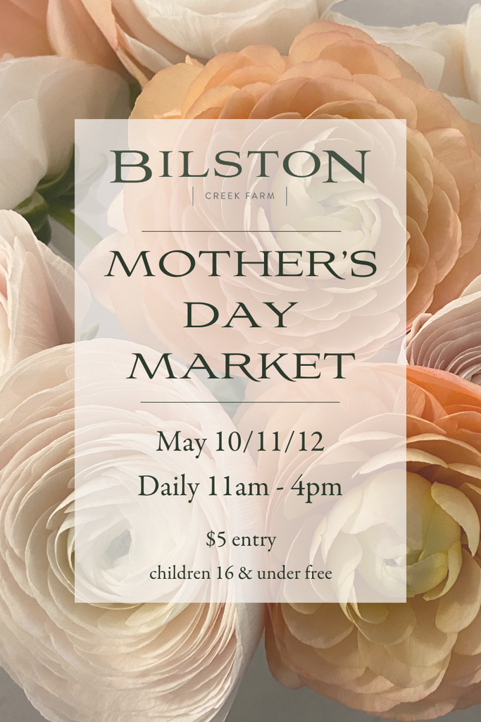 Mother's Day Market Entry - 2024