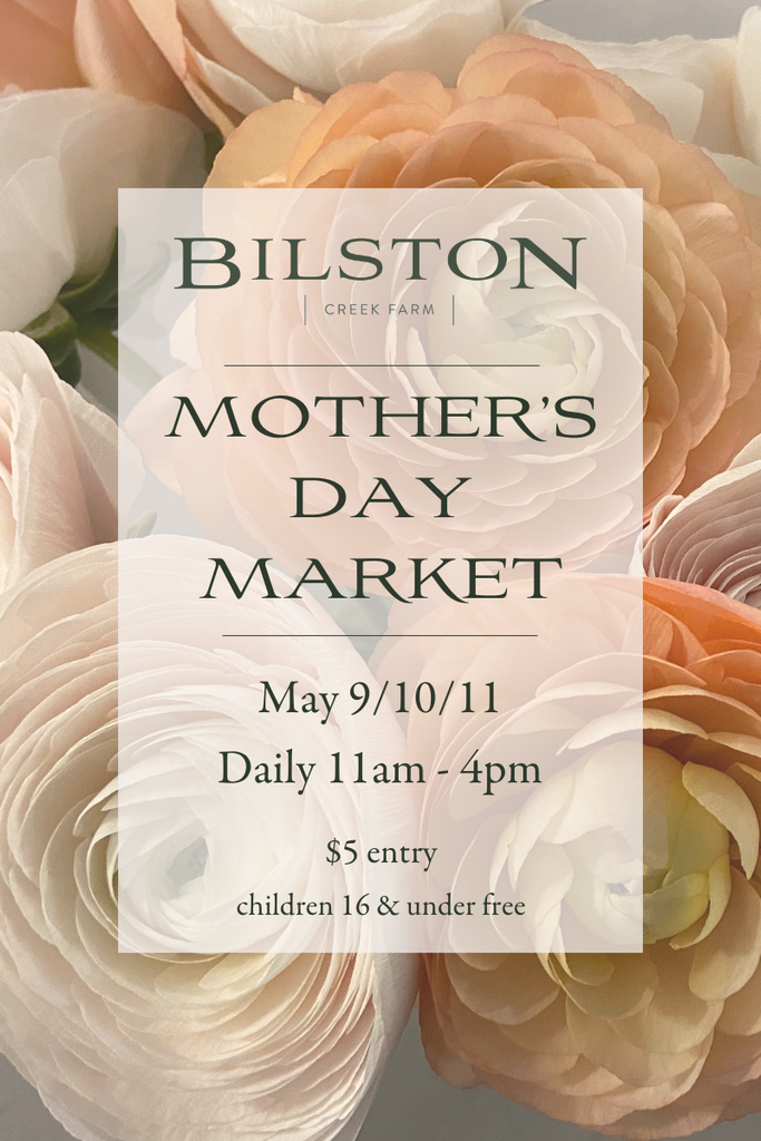 Mother's Day Market Entry - 2025