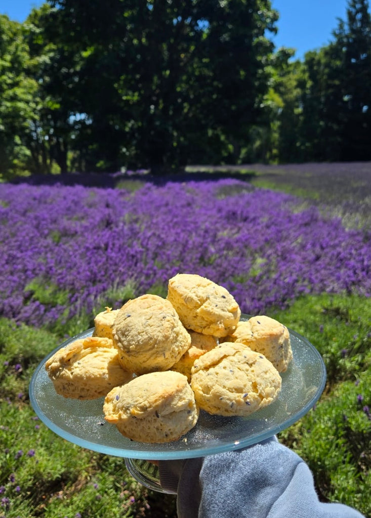 Lavender Scone