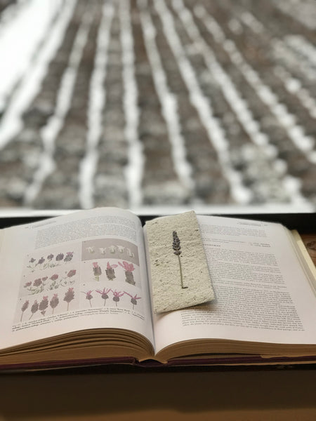 Lavender Paper bookmark